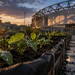 À Caen, deux fermes maraîchères bio attendues sous le Zénith en 2027